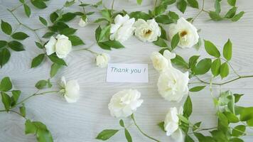 beautiful background of many white roses on a light wooden video