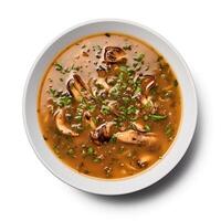 AI generated Turtle soup closeup isolated on white background photo
