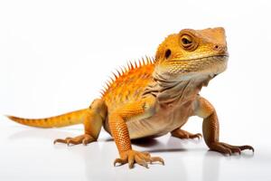 AI generated lizard isolated on a white background photo