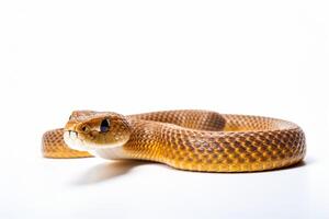 AI generated snake illustration clipart photo