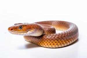 AI generated snake illustration clipart photo