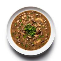 AI generated Turtle soup closeup isolated on white background photo