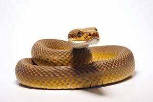 AI generated snake illustration clipart photo