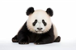 ai generado panda oso clipart foto