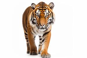 AI generated Wild tiger clipart photo