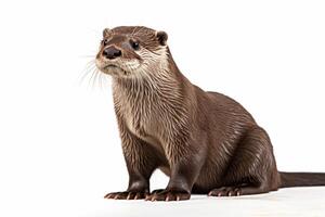 AI generated Cute otter clipart photo