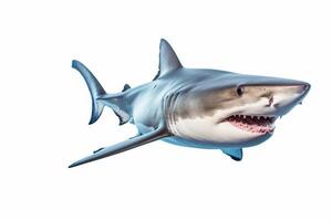 AI generated Great white shark clipart photo