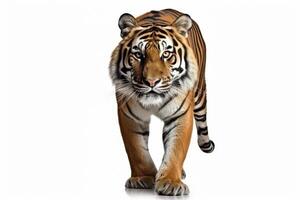 AI generated Wild tiger clipart photo