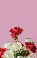 Bouquet of red and white roses on a pink background with copy space for your text. photo