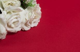 Bouquet of white roses on a red background with copy space photo