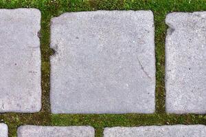 A stone slab overgrown with moss. Geometric background photo