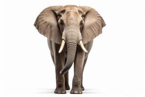 AI generated African elephant clipart photo