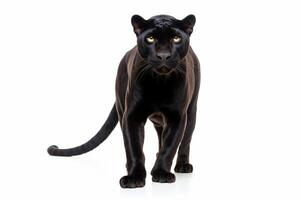 AI generated Black panther clipart photo