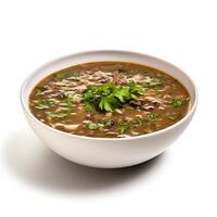 AI generated Turtle soup closeup isolated on white background photo