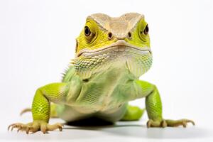 AI generated lizard isolated on a white background photo