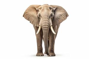 ai generado africano elefante clipart foto