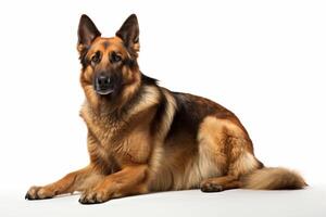 AI generated German shepherd dog clipart photo