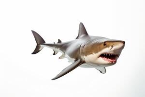 AI generated Great white shark clipart photo