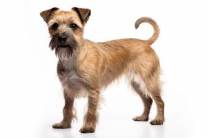 AI generated terrier dog clipart photo