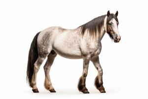 AI generated Horse isolated on white background photo