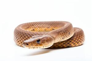 AI generated snake illustration clipart photo