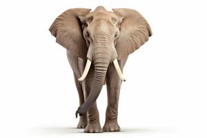 AI generated African elephant clipart photo