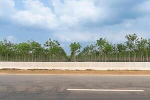 Horizontal view of an asphalt road in Thailand. With barriers are placed in a long line. Background of agricultural plots where rubber trees are planted in long rows.  Under blue sky and white clouds. photo