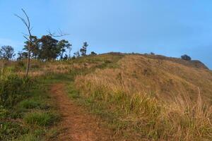 Walking path with green grass covering both sides. route heads to the mountaintop view of point Phu Langka. Under clear of blue sky. At Phu Langka Phayao Province of Thailand. photo