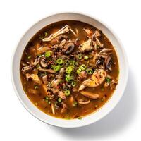 AI generated Turtle soup closeup isolated on white background photo