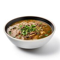 AI generated Turtle soup closeup isolated on white background photo
