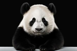 ai generado panda oso clipart foto