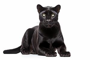 AI generated Black panther clipart photo