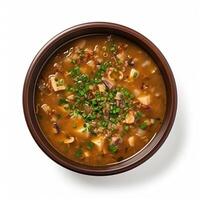 AI generated Turtle soup closeup isolated on white background photo