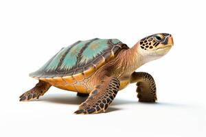 AI generated Sea turtle clipart photo