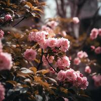 AI generated a branch of a tree with sakura flowers photo