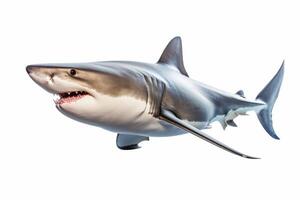 AI generated Great white shark clipart photo