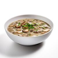 AI generated Turtle soup closeup isolated on white background photo