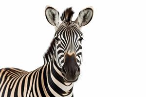 AI generated zebra isolated on white background photo