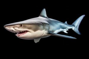 AI generated Great white shark clipart photo