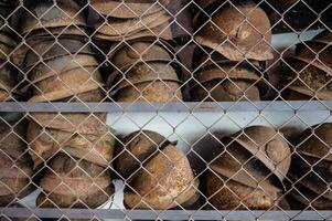 Old and dirty soldier helmet from world war ii photo