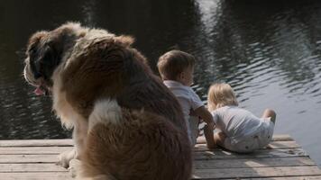 Two little boys and a big dog on the pier near the river. A dog guards children. slow motion video