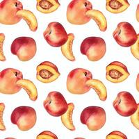 Watercolor seamless pattern with nectarines and peaches isolated on white background. Whole ripe and half fruits. Apricot hand drawn. Design element for package, textile, wrapping paper, fabric vector