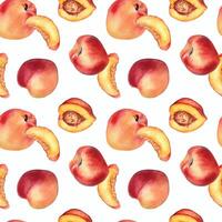 Watercolor seamless pattern with nectarines and peaches isolated on white background. Whole ripe and half fruits. Apricot hand drawn. Design element for package, textile, wrapping paper, fabric vector