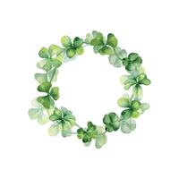 Circle frame with shamrock and clover watercolor illustration isolated on white background. Painted green four leaves. Hand drawn Irish symbol. Design element for St.Patricks day postcard, package vector