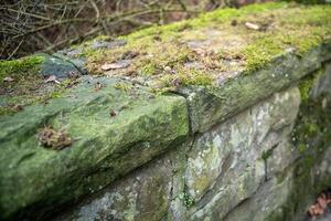 unkempt mossy quarry stone wall photo