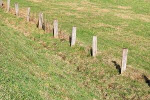 pasture fence in the middle of the meadow photo