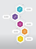 vertical round hexagon steps timeline infographic element report background with business line icon 5 steps vector