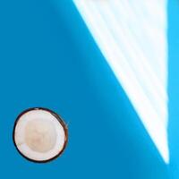 half Coconut isolated on blue Background. Clipping Path photo