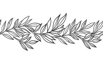 hand drawn seamless border of vector plants, brunch of flowers, sketch of leaves, herbs, grass, inked silhouette of leaves, monochrome illustration isolated on white background