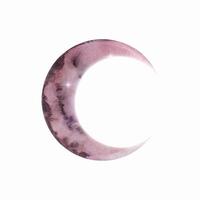 Watercolor light lilac crescent moon, planet vector